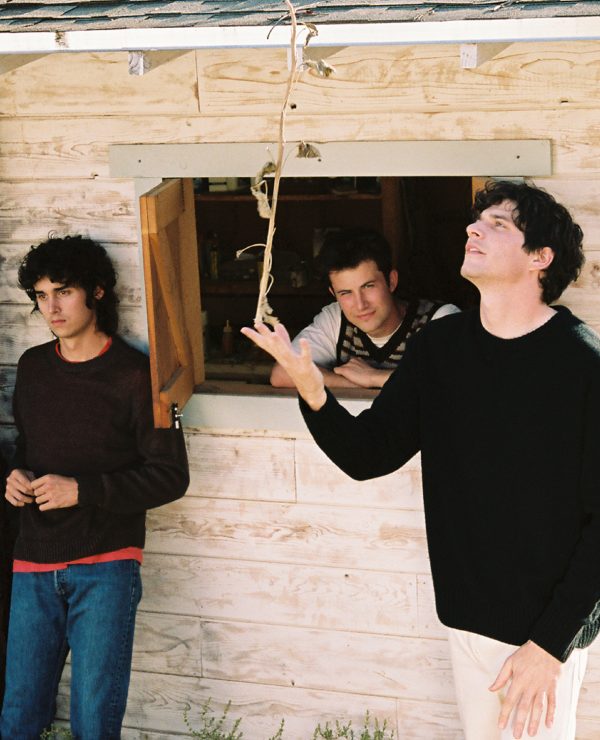 WALLOWS